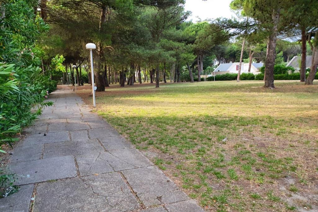 Studio Cabines 6 Couchages 150 M De La Plage Et A Quelques Secondes Des Commerces Wifi Gratuit 라그랑모트 외부 사진